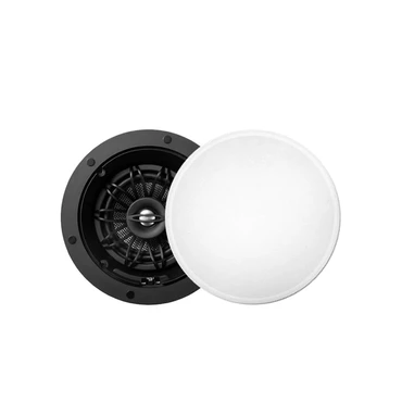 Arylic RK525 2Way 60W speaker